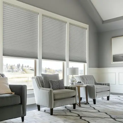 Double Cellular Light Filtering Shades Living Room